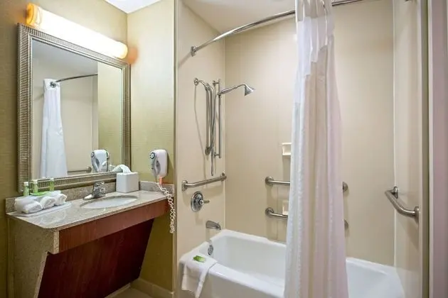 Süit, 1 En Büyük (King) Boy Yatak ve Çekyat, Engellilere Uygun (Mobility, Accessible Tub)