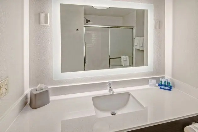 Süit, 1 En Büyük (King) Boy Yatak (Walk-In Shower)