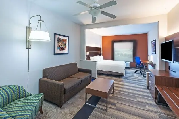 Süit, 1 En Büyük (King) Boy Yatak ve Çekyat (Additional Living Area)