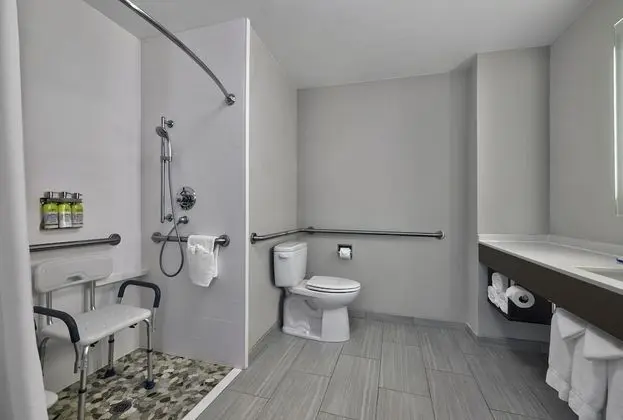 Süit, 1 En Büyük (King) Boy Yatak, Engellilere Uygun (Mobility, Roll-In Shower)
