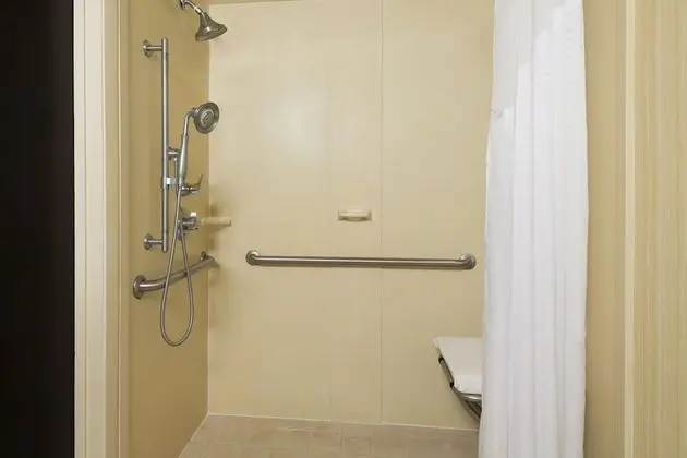 Süit, 1 Çift Kişilik Yatak, Engellilere Uygun (Roll-in Shower)