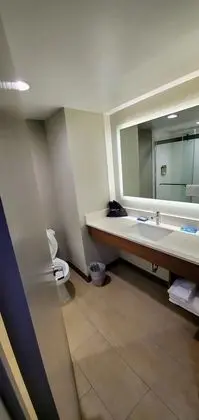 Standard Oda, 1 En Büyük (King) Boy Yatak, Engellilere Uygun (Mobility, Roll-In Shower)