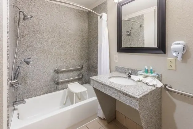 Standard Oda, 2 Büyük (Queen) Boy Yatak, Engellilere Uygun (Mobility, Accessible Tub)