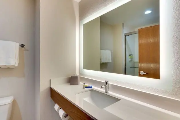 Standard Oda, 2 Büyük (Queen) Boy Yatak, Engellilere Uygun (Mobility, Access Tub)