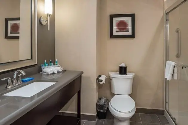 Standard Oda, 2 Büyük (Queen) Boy Yatak, Engellilere Uygun (Mobility, Accessible Tub)