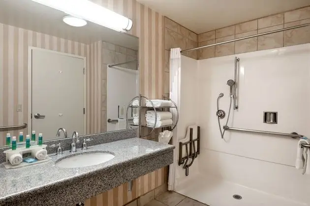 Standard Oda, 1 En Büyük (King) Boy Yatak, Engellilere Uygun (Roll-In Shower)