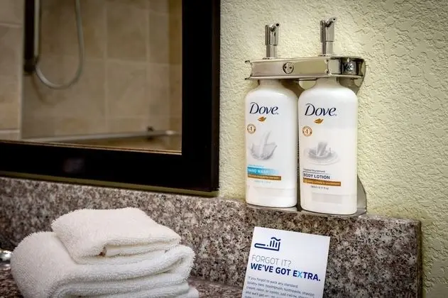 Süit, Birden Çok Yatak (Wet Bar)