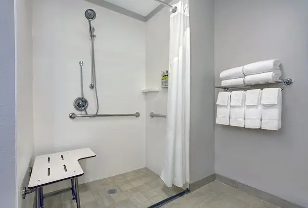 Oda, 1 En Büyük (King) Boy Yatak, Engellilere Uygun, Sigara İçilmez (Roll-In Shower)