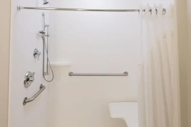 Süit, 1 En Büyük (King) Boy Yatak, Engellilere Uygun (Communications, Roll-In Shower)