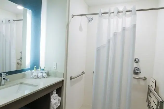 Standard Oda, 1 En Büyük (King) Boy Yatak, Engellilere Uygun (Roll-In Shower)