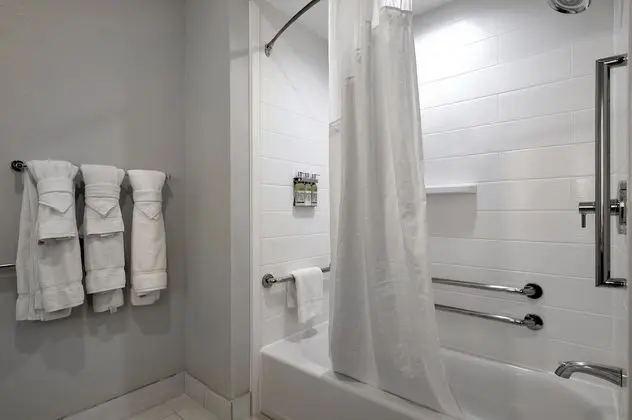 Süit, 1 En Büyük (King) Boy Yatak, Engellilere Uygun (Accessible Tub)