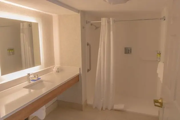 Oda, 1 En Büyük (King) Boy Yatak, Engellilere Uygun, Sigara İçilmez (Roll-In Shower)