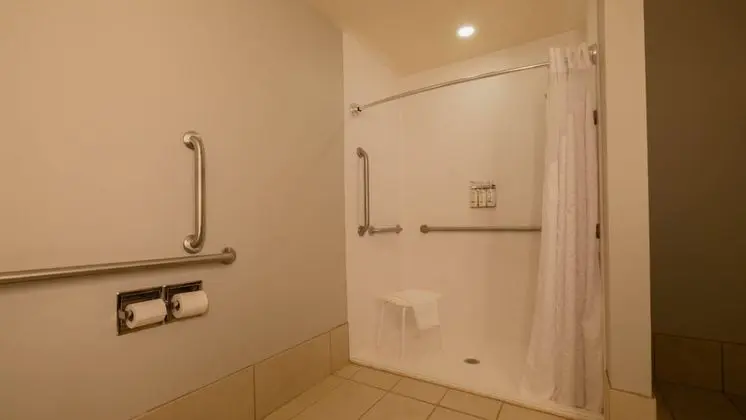 Süit, 2 Büyük (Queen) Boy Yatak, Engellilere Uygun (Mobility, Roll-In Shower)