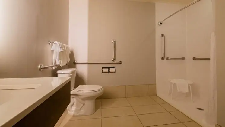 Süit, 2 Büyük (Queen) Boy Yatak, Engellilere Uygun (Mobility, Roll-In Shower)