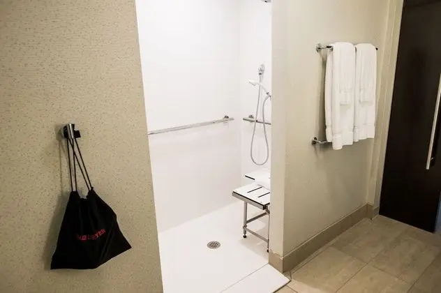 Süit, 2 Büyük (Queen) Boy Yatak, Engellilere Uygun (Roll-In Shower)