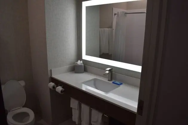 Oda, 1 En Büyük (King) Boy Yatak, Engellilere Uygun (Roll-In Shower)