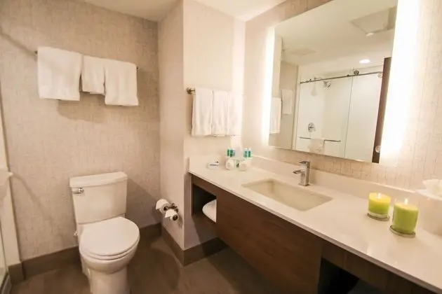 Standard Oda, 2 Büyük (Queen) Boy Yatak, Engellilere Uygun (Mobility, Accessible Tub)