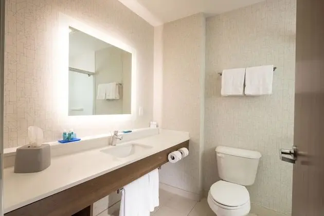 Standard Oda, 1 En Büyük (King) Boy Yatak, Engellilere Uygun (Comm Access,Roll-In Shower)