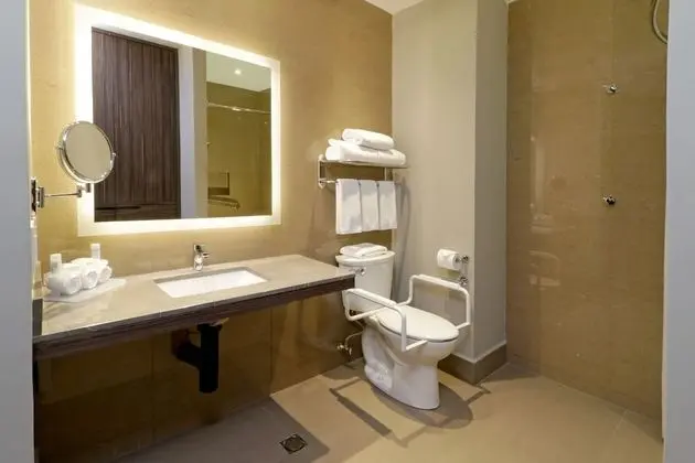 Standard Oda, 1 En Büyük (King) Boy Yatak, Engellilere Uygun (Roll-In Shower)