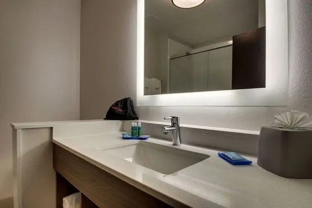 Standard Oda, 1 En Büyük (King) Boy Yatak, Engellilere Uygun (Mobility, Roll-In Shower)