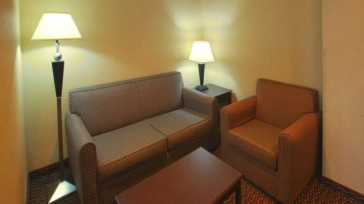 Süit, 1 En Büyük (King) Boy Yatak, Buzdolabı (Addl Living Area)