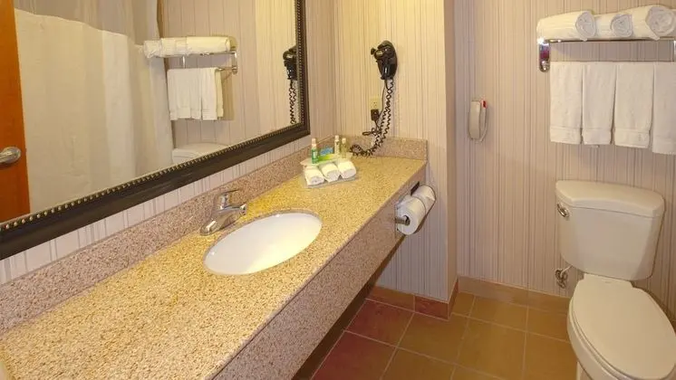Süit, 1 En Büyük (King) Boy Yatak, Buzdolabı (Addl Living Area)