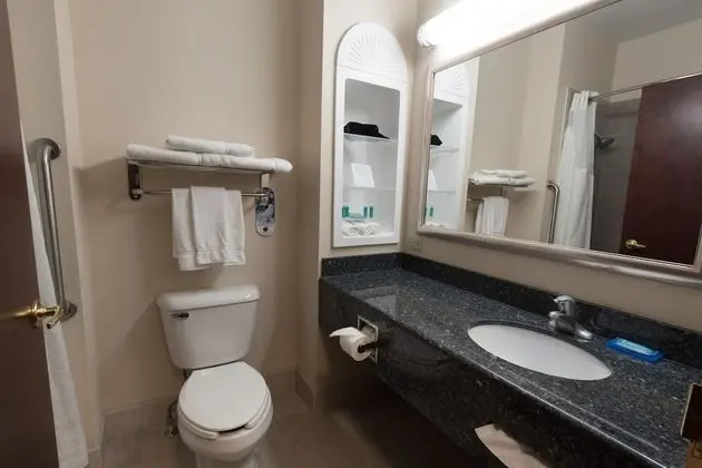 Standard Oda, 1 En Büyük (King) Boy Yatak, Engellilere Uygun (Accessible Tub)
