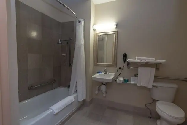 Süit, 2 Büyük (Queen) Boy Yatak, Engellilere Uygun (Accessible Tub)