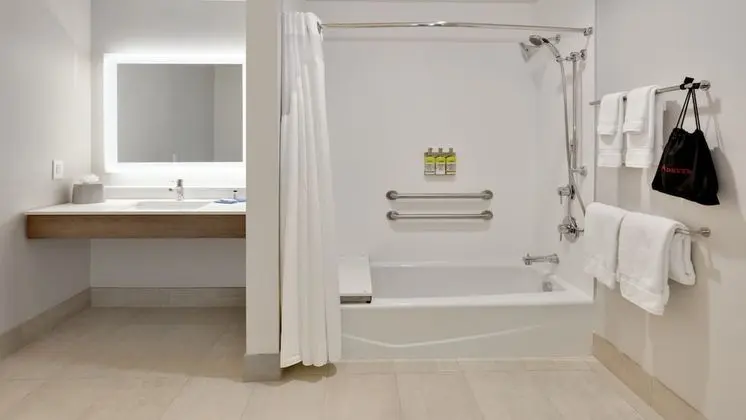 Standard Oda, 1 En Büyük (King) Boy Yatak, Engellilere Uygun (Mobility, Accessible Tub)