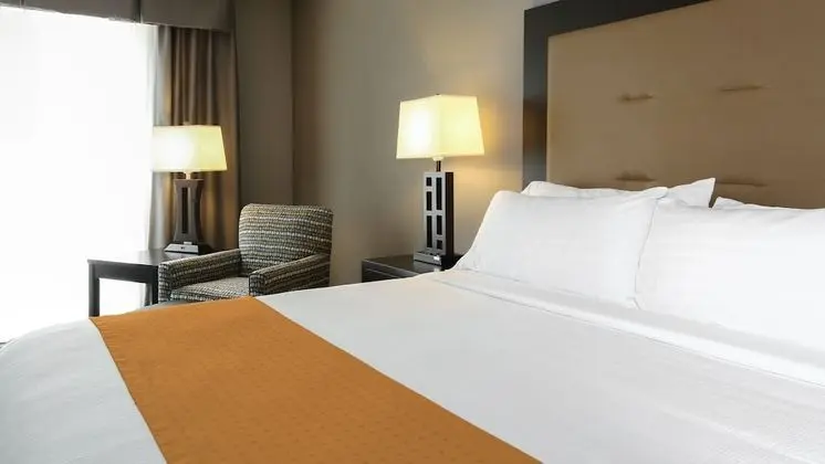 Executive Süit, 1 En Büyük (King) Boy Yatak ve Çekyat (Wet Bar)