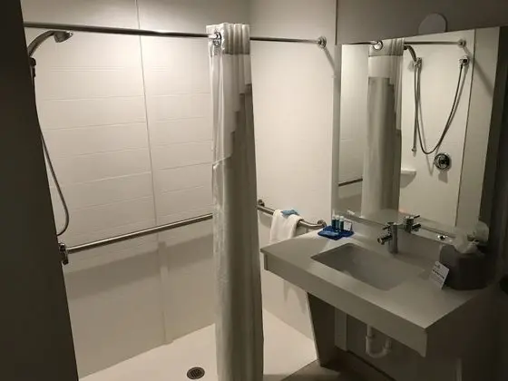 Standard Oda, 1 En Büyük (King) Boy Yatak, Engellilere Uygun (Roll-In Shower)