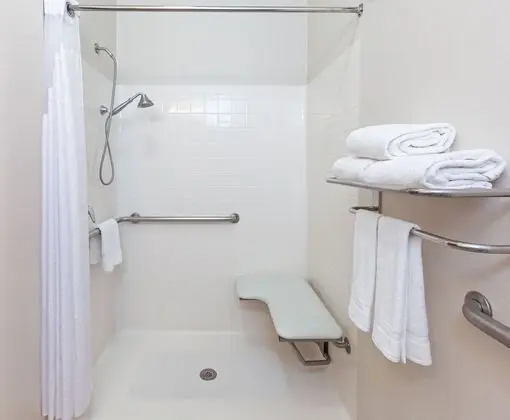 Süit, 1 En Büyük (King) Boy Yatak, Engellilere Uygun (Roll-In Shower)
