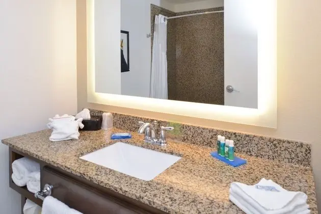 Oda, 1 En Büyük (King) Boy Yatak, Engellilere Uygun (Roll-In Shower)