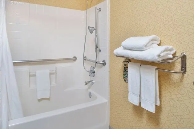 Standard Oda, 1 Büyük (Queen) Boy Yatak, Engellilere Uygun (Mobility, Accessible Tub)