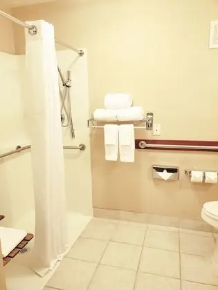 Oda, 1 En Büyük (King) Boy Yatak, Engellilere Uygun, Sigara İçilmez (Roll-In Shower)