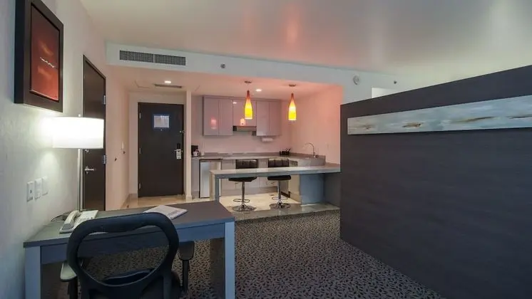 Stüdyo Süit, 1 En Büyük (King) Boy Yatak ve Çekyat, Şehir Manzaralı