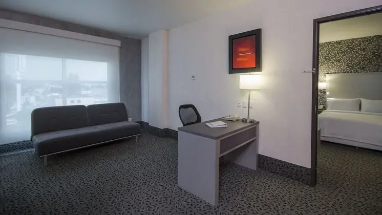 Stüdyo Süit, 1 En Büyük (King) Boy Yatak ve Çekyat, Şehir Manzaralı