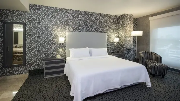 Stüdyo Süit, 1 En Büyük (King) Boy Yatak ve Çekyat, Şehir Manzaralı
