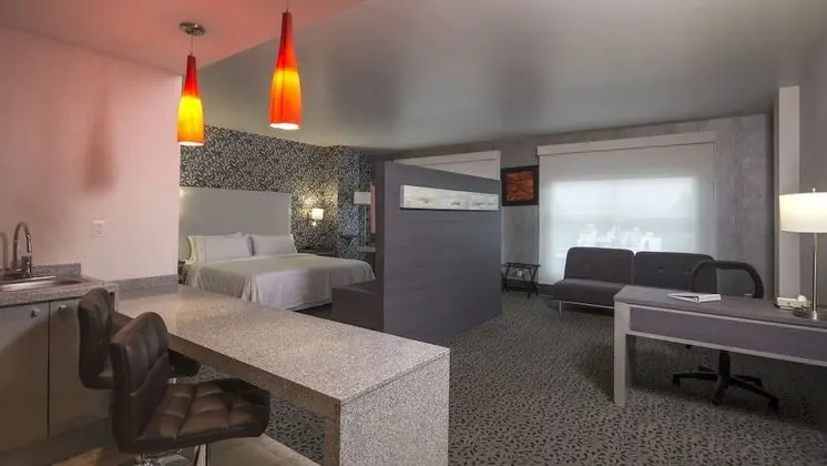 Stüdyo Süit, 1 En Büyük (King) Boy Yatak ve Çekyat, Şehir Manzaralı
