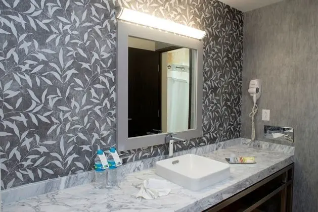 Stüdyo Süit, 1 En Büyük (King) Boy Yatak ve Çekyat, Şehir Manzaralı