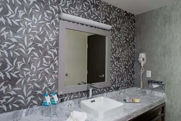 Stüdyo Süit, 1 En Büyük (King) Boy Yatak ve Çekyat, Şehir Manzaralı