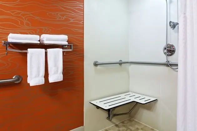 Standard Oda, 1 En Büyük (King) Boy Yatak, Engellilere Uygun (Wheelchair Roll-In Shower)