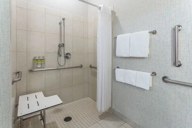 Süit, 1 En Büyük (King) Boy Yatak, Engellilere Uygun (Communication, Roll-In Shower)