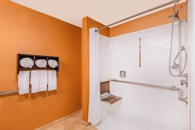 Standard Oda, 1 En Büyük (King) Boy Yatak, Engellilere Uygun (Roll-In Shower)