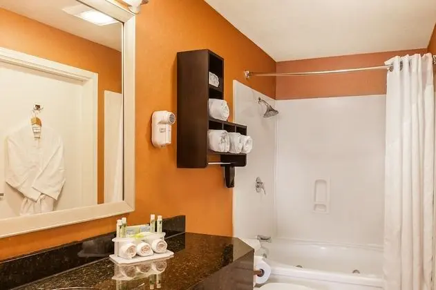 Standard Oda, 1 En Büyük (King) Boy Yatak, Engellilere Uygun (Roll-In Shower)