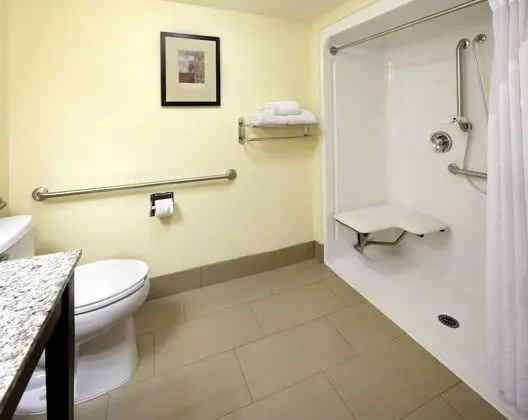 Süit, 1 En Büyük (King) Boy Yatak ve Çekyat, Balkon