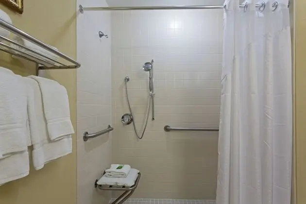 Standard Oda, 2 Büyük (Queen) Boy Yatak, Engellilere Uygun (Mobility, Roll-In Shower)