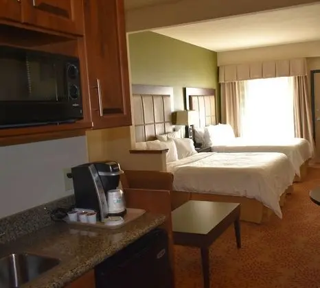 Süit, Birden Çok Yatak, Balkon (Wet Bar)