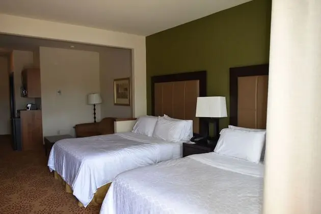 Süit, Birden Çok Yatak, Balkon (Wet Bar)