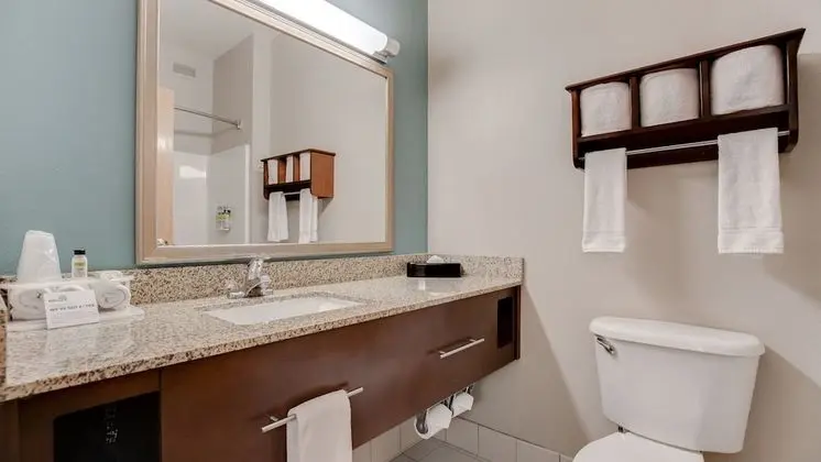 Standard Oda, 2 Tek Kişilik Yatak, Engellilere Uygun (Hearing, Mobility Transfer Shower)